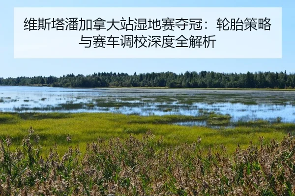 wei-si-ta-pan-jia-na-da-zhan-shi-di-sai-duo-guan-lun-tai-ce-lve-yu-sai-che-diao-xiao-shen-du-quan-jie-xi-2-806.jpg